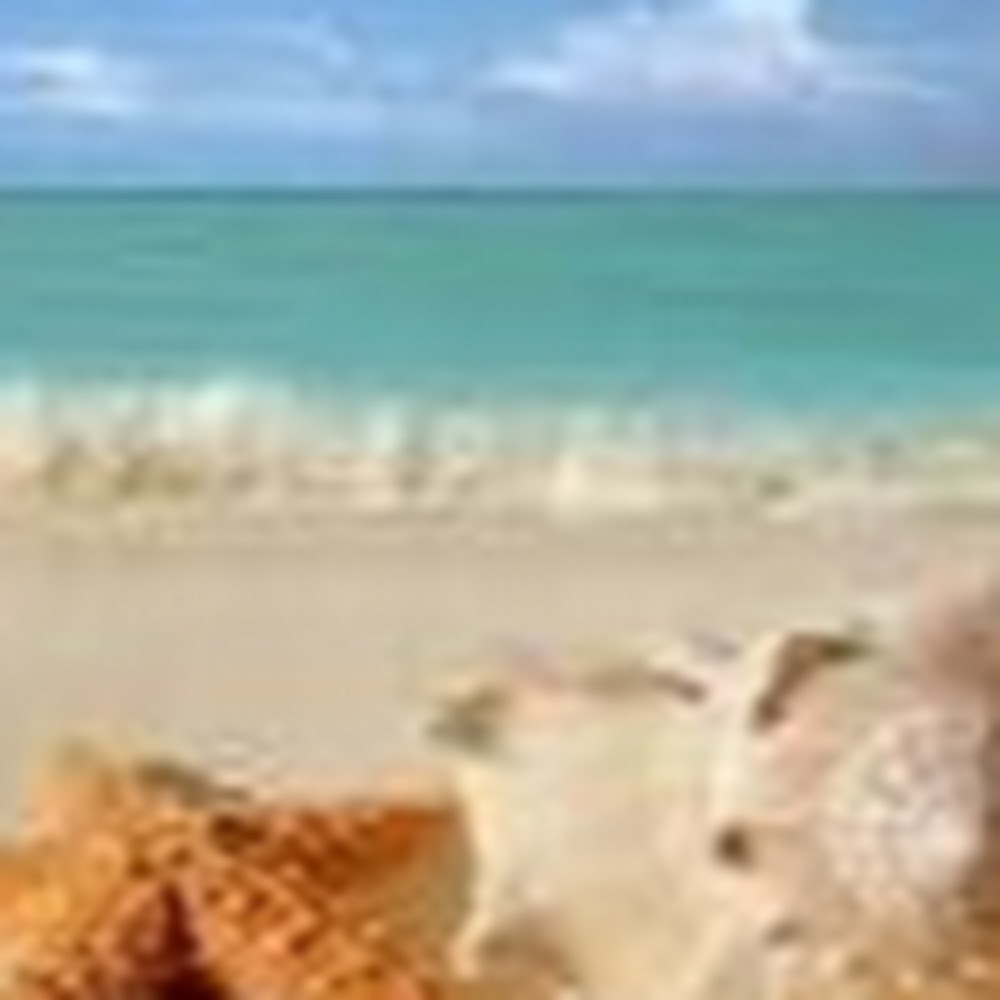 Meet your Posher, Kara